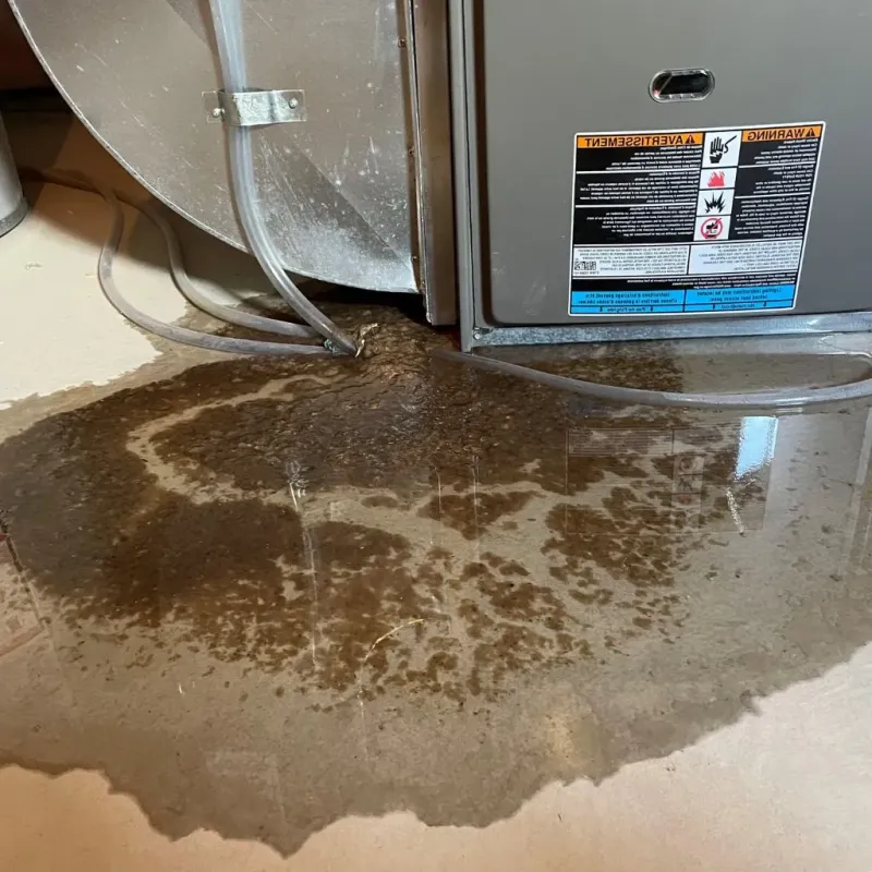 Pipe Burst and Leak Restoration in Nashville, IL