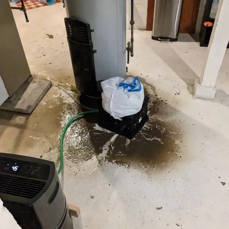 Sewage Backup Cleanup Service in Nashville, IL
